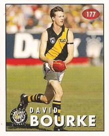 1996 Select AFL Stickers #177 David Bourke Front